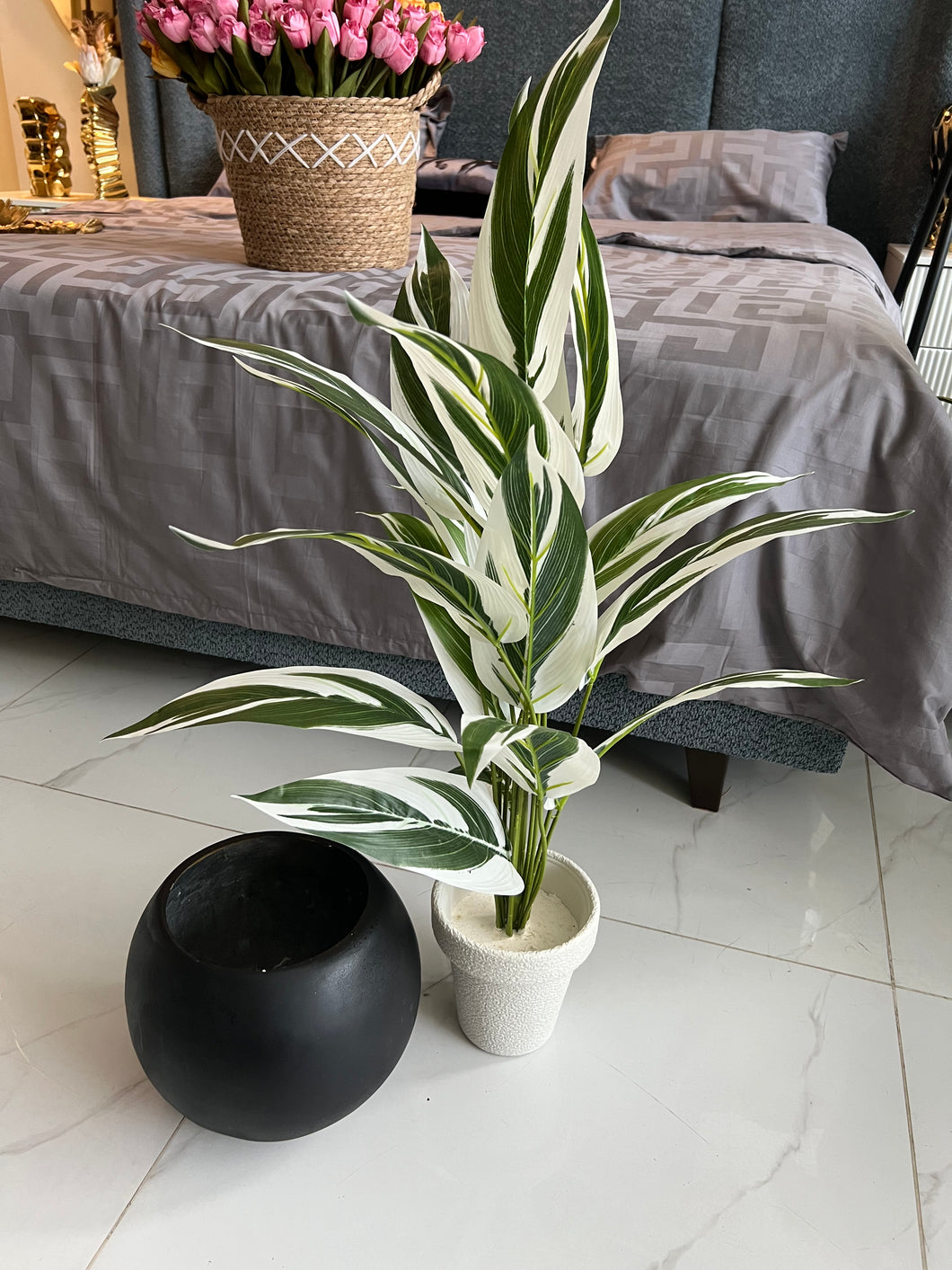 Round Pot with Plant (001)