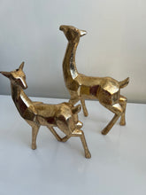 Deer decor