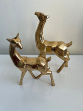 Deer decor