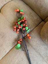 Berries Stem