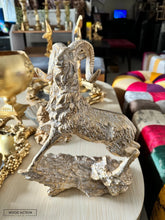 Markhor Decor