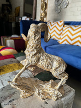 Markhor Decor