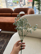 Baby Breath Blue 03