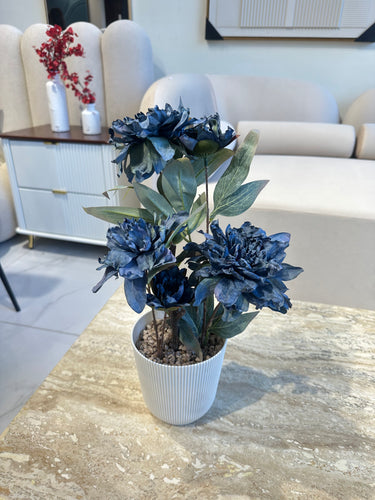 Blue Peony Flower in Ribbed Pot