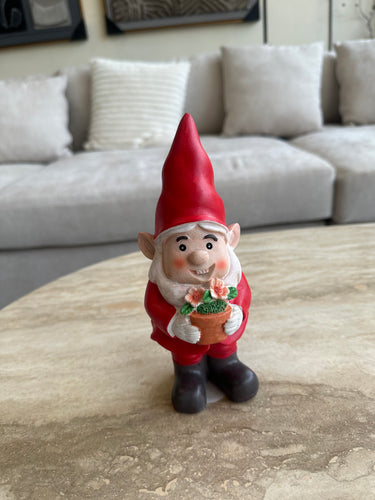 Garden Gnome 005