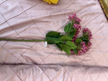 Hydrangea Flower Stems 02