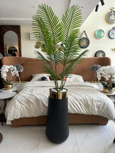 Areca Palm Tree with Large Black Planter