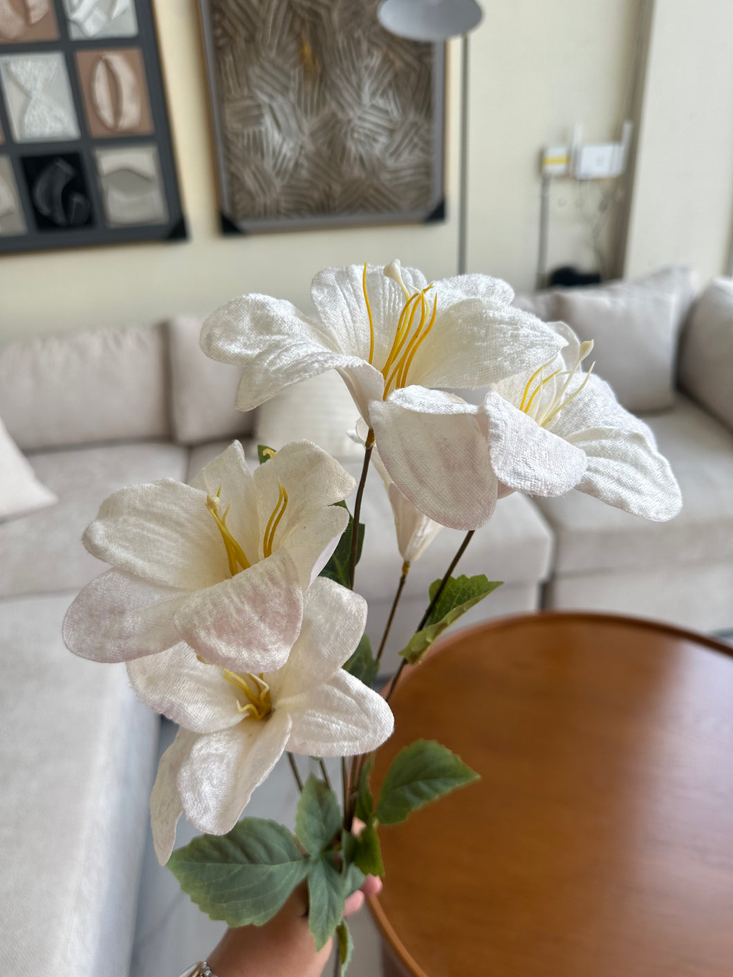 Velvet Lily Flowers 005