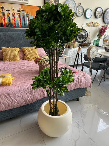 Round Imported Off White Only Planter