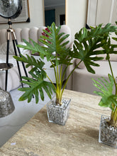 Glass Planter with Turtle plant