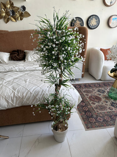 White Flower Plant