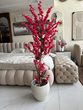 Dark Pink Blossom Flower Plant with textured Planter