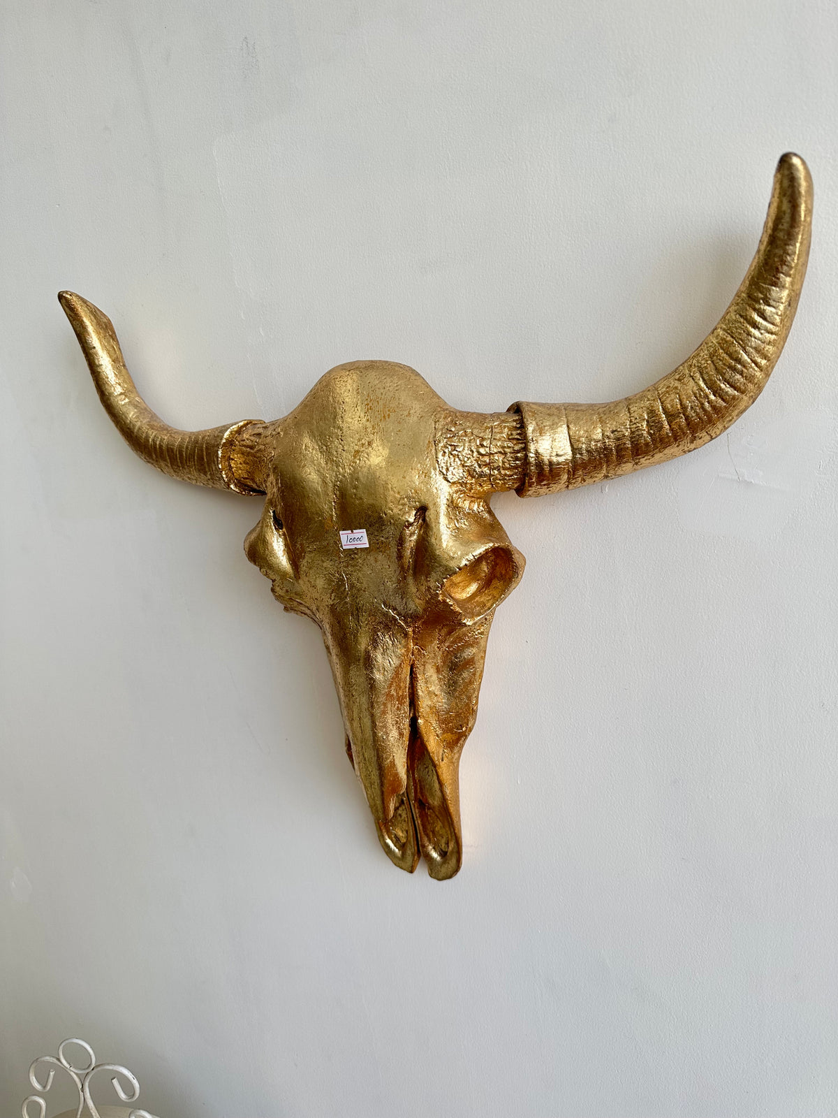 Buffalo Skull