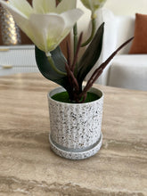 Orchid Planter white 015
