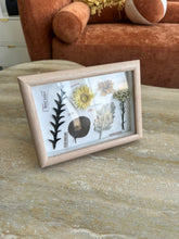 Dried Flower Frame 001
