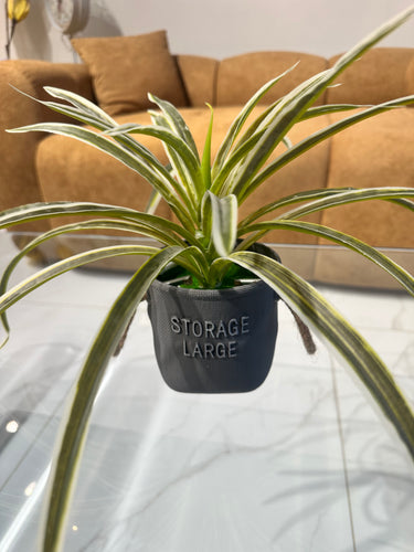 Snake plant Planter 004
