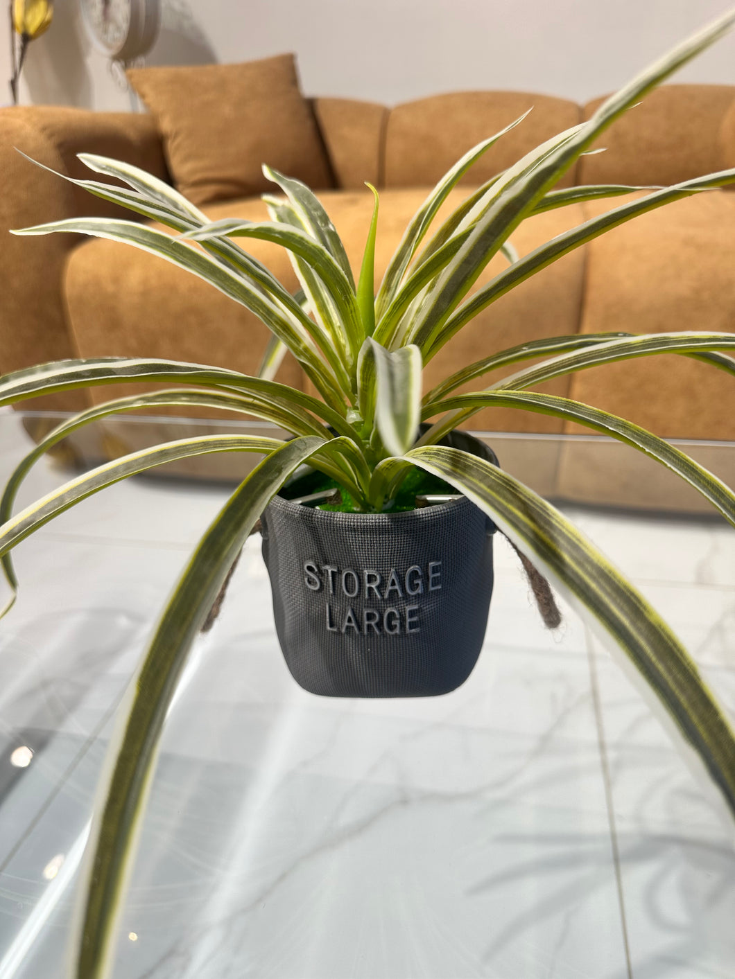 Snake plant Planter 004