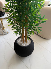 Bambo with Round Textured Pot