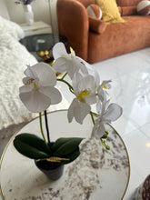 Orchid Planter 013