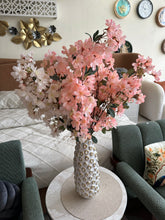 Cherry Blossom 02