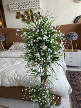White Flower Plant