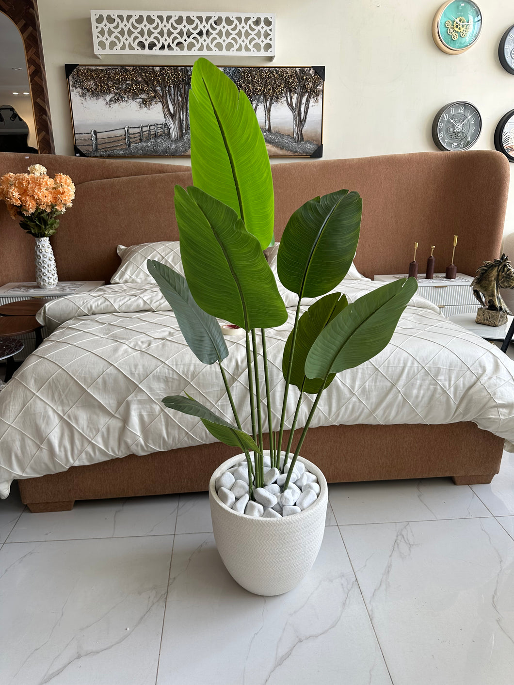 Banana Plant with White Texture Pot 02