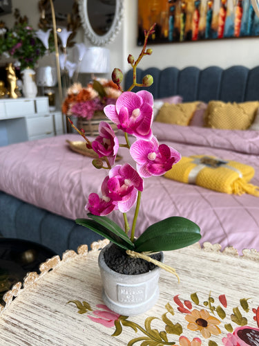 Orchid Planter Pink 007