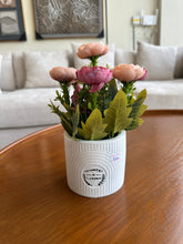 Flowers & Garden Planter 002 Pink Peach