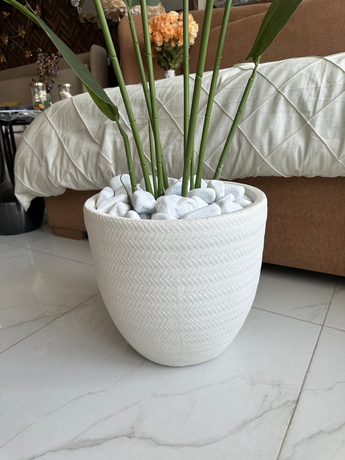 Banana Plant with White Texture Pot 02