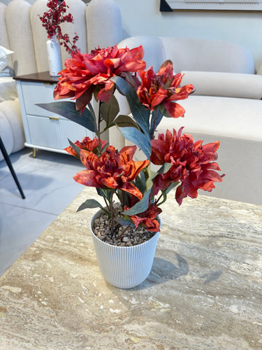 Orange Peony Flower in Ribbed Pot