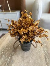 Eucalyptus planter beige