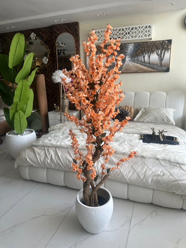 Peach Blossom Flower Plant with textured Planter