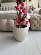 Dark Pink Blossom Flower Plant with textured Planter