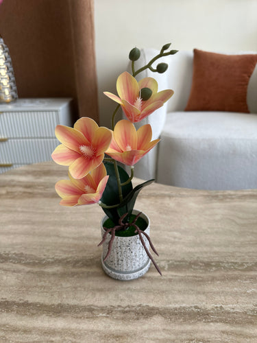 Orchid Planter Orange 014