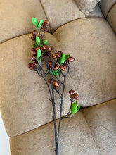 Berries Stem