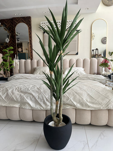 Agave Tree with Hugo planter Black
