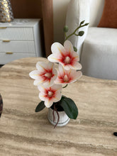 Orchid Planter Red & White 017