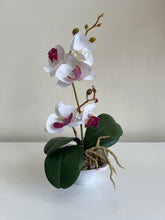 Orchid Planter 011