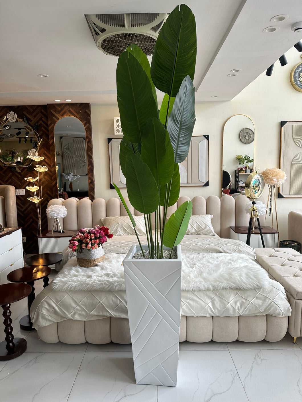 Banana plant with Geometric Pot