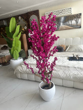 Magenta Blossom Flower Plant with textured Planter
