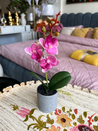 Orchid Planter Pink 002