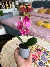Orchid Planter Pink 002
