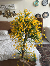 Yellow Flower Plant