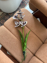 Cymbidium Orchids Purple