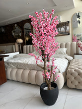 Light Pink Blossom Flower Plant with textured Planter Black