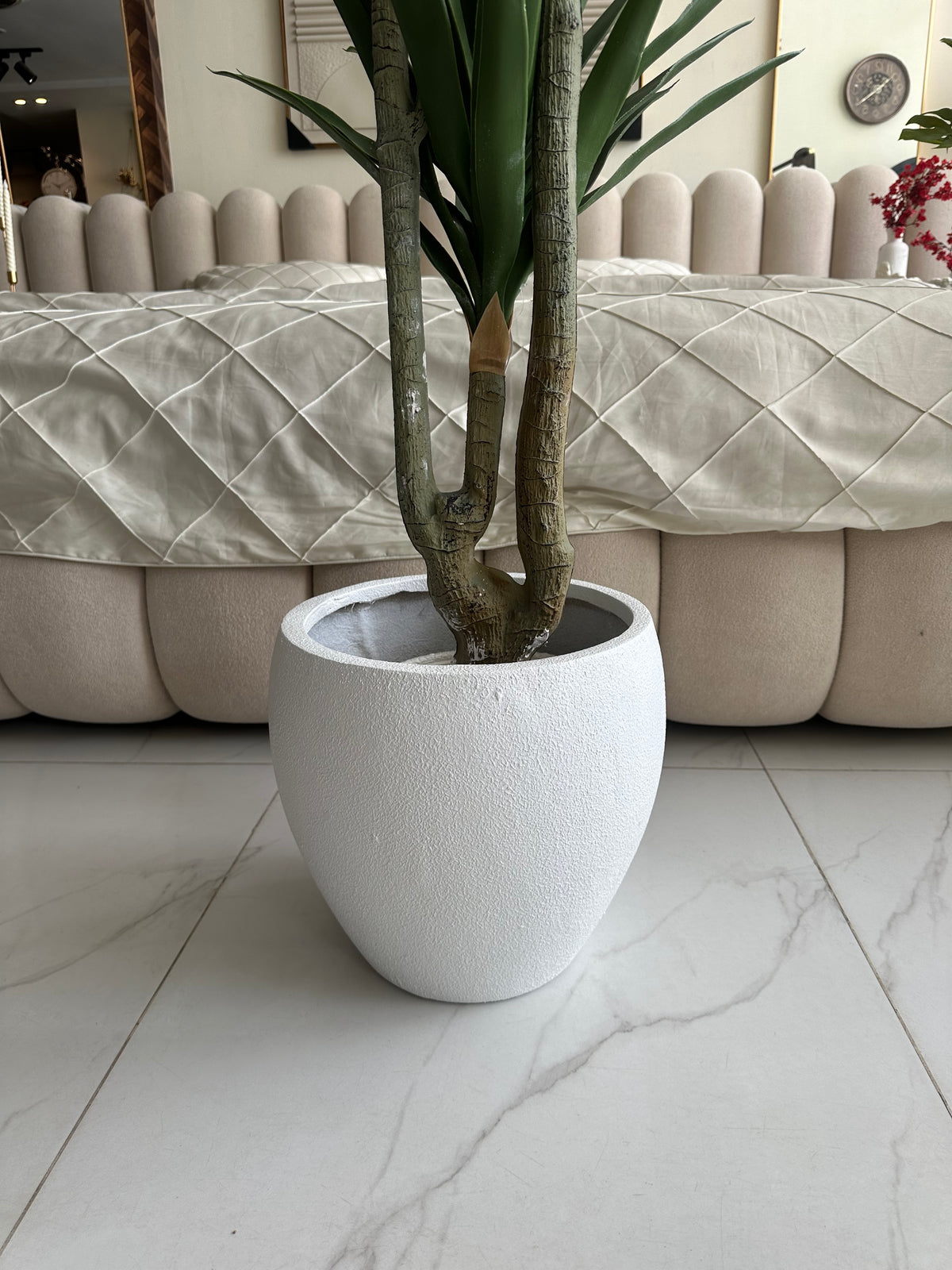 Agave Tree with Hugo planter White