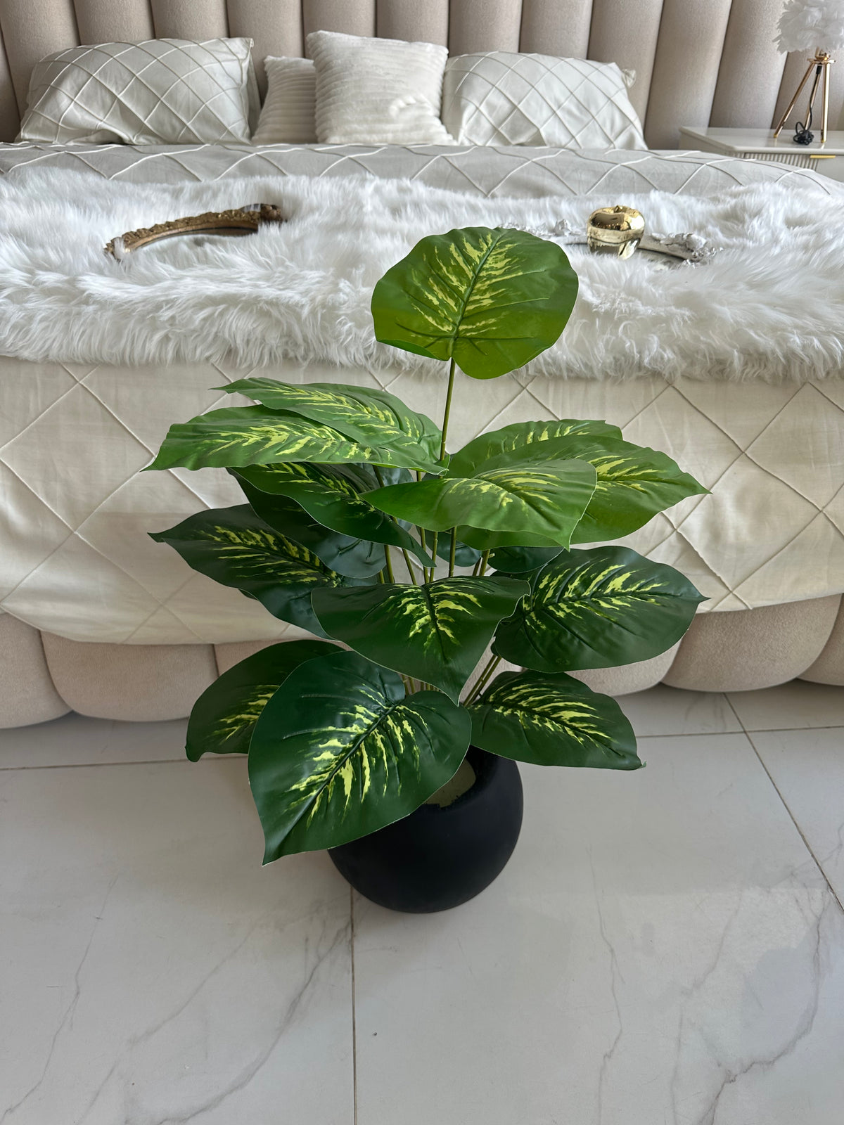 Round Pot  Plant (003)