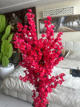 Red Blossom Flower Plant with textured Planter