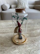 Gnome in Glass Jar