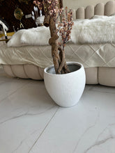 Faux Eucalyptus Beige flower Plant (medium) with Hugo planter White